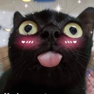 Meet your Posher, Dani